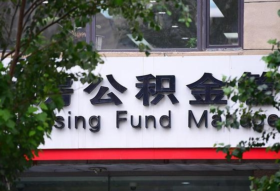 栖霞公积金离职封存是什么意思（公积金 离职 封存）